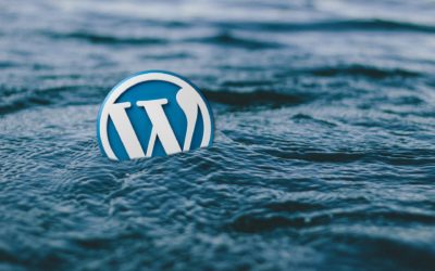 WordPress : comment bien l’utiliser ?